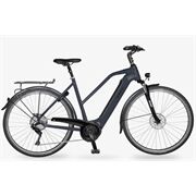 Velo De Ville E-Bike AEB990 SM Tr Tr Disc 55 625Wh 11 Gg stone