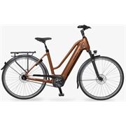 Velo De Ville E-Bike AEB990 SM Tr Tr 5Gg Nexus FL Rh 48 Braun