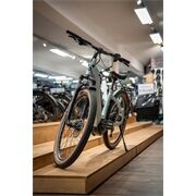 Velo De Ville E-Bike SEB 890 Perf Tr Wa 9Gg Cues 55cm 500Wh Ice