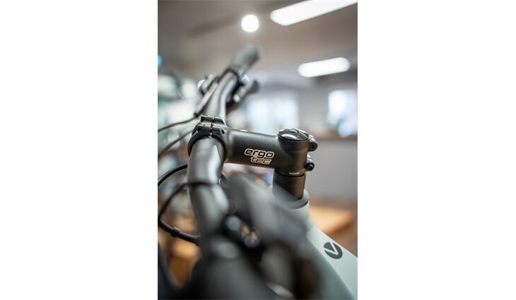 Velo De Ville E-Bike SEB 890 Perf Tr Wa 9Gg Cues 55cm 500Wh Ice