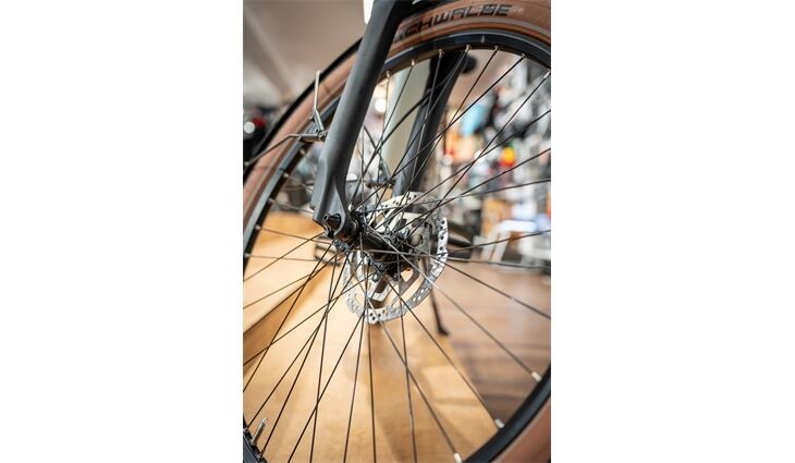 Velo De Ville E-Bike SEB 890 Perf Tr Wa 9Gg Cues 55cm 500Wh Ice
