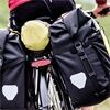 ORTLIEB Back-Roller Pro Classic asphalt- black 70 L
